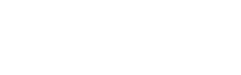 US Search Awards Finalist 2024
